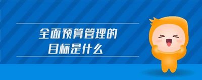 全面預算管理的目的是什么？